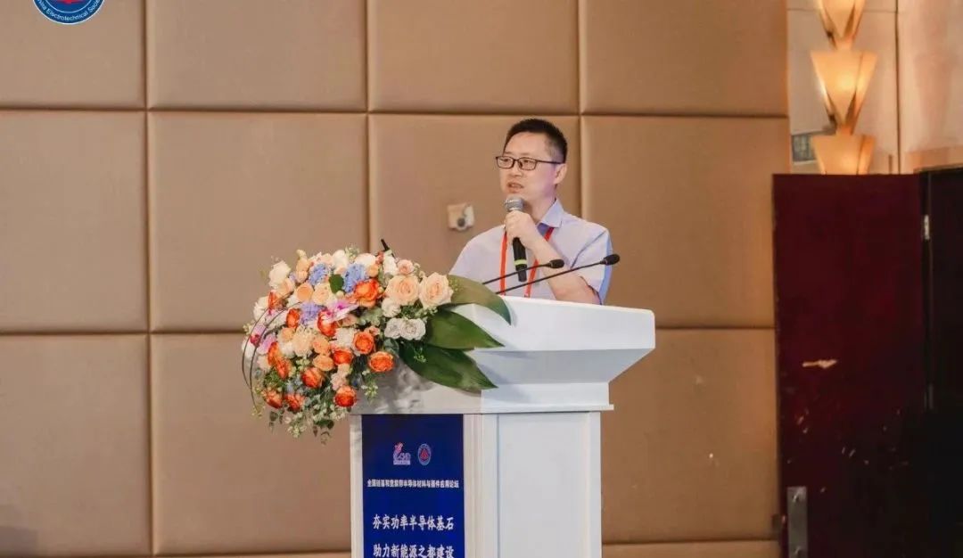 安徽工程大學(xué) 集成電路學(xué)院副院長 教授 中國電工技術(shù)學(xué)會電氣節(jié)能專委會副理事長 林信南博士