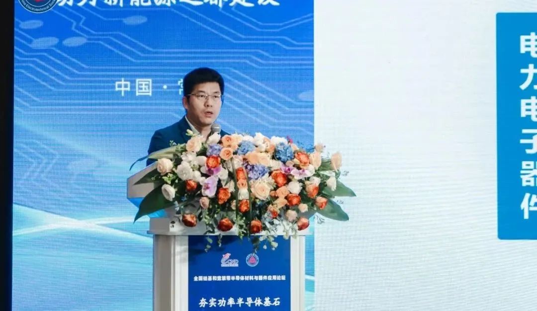 西安交通大學(xué) 電力設(shè)備電氣絕緣國家重點實驗室教授  王來利博士